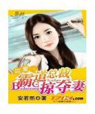 总裁大人请离婚夜廷琛