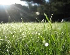 太阳雨by余酲番外2